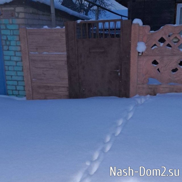 �������� �������� � ������� ��������� ����� ������ � ��������