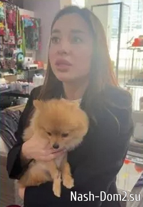 Сергей Хорошев спасает жену от необдуманных трат Сергей Хорошев спасает жену от необдуманных трат