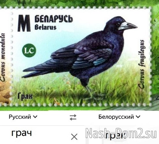 ������ � ��������� ��������� �������� (28.01.2026)