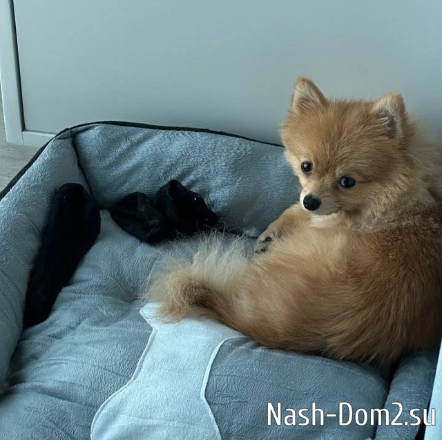 ������� ��������: � ���� ��� ������ �� ���������