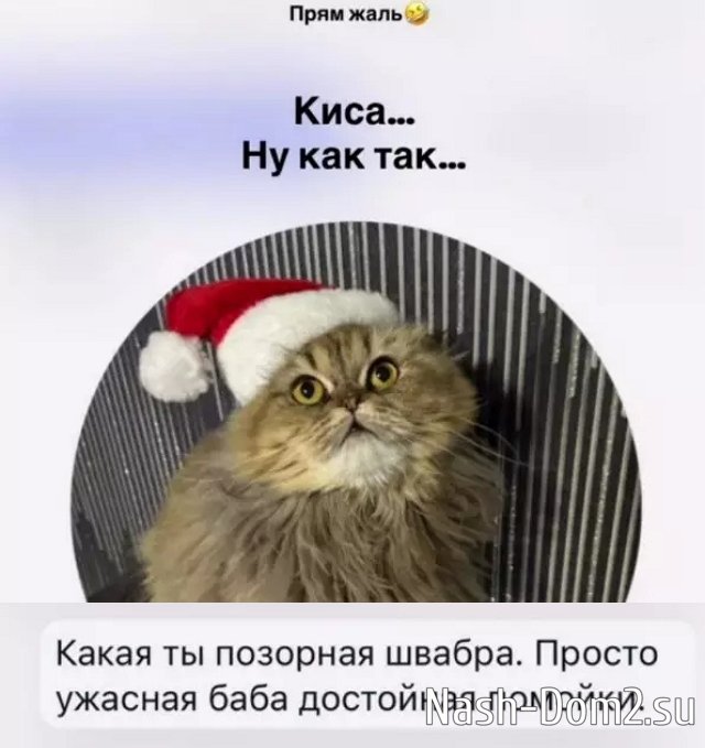 ����� ������������ ���������� �� �������������� ��������