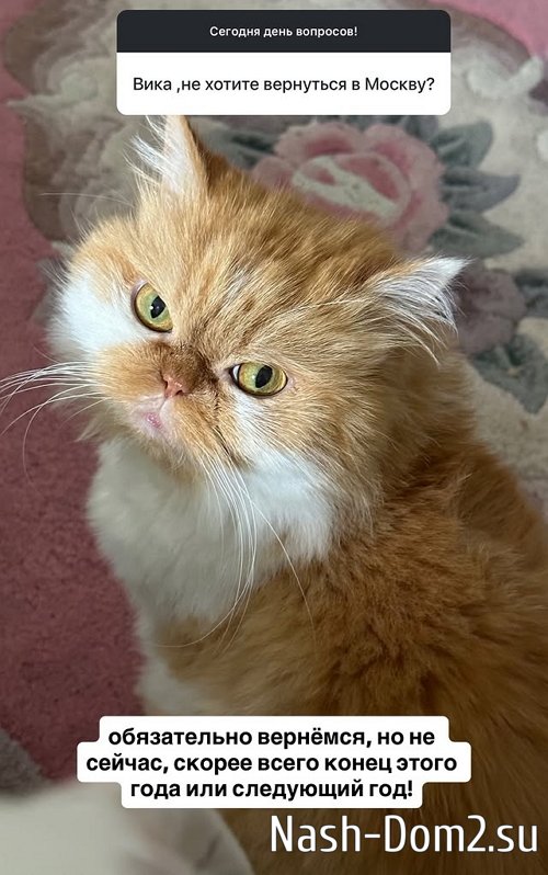 �������� �����: �������� ��� �������� ����!