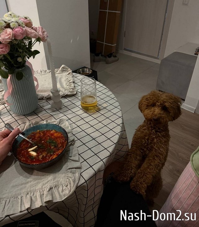 ���� ����������: � �� ������ � ������ ����� ����?