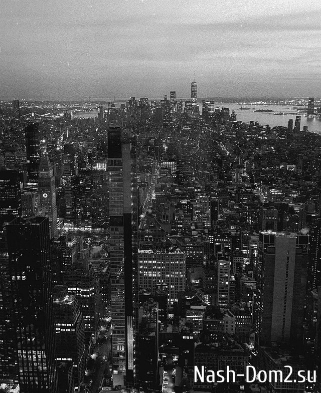 ������ �����: � �� �������� �������