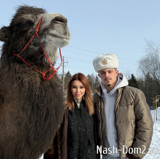 ������� ����-2 �������� ������ ������ ��������� ��������