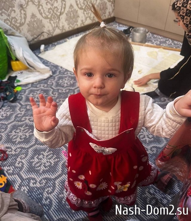 ���� ����� ���������� ����-2 (27.02.2026)