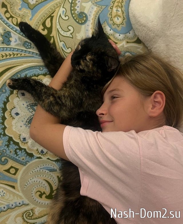 ���� ����� ���������� ����-2 (27.02.2026)