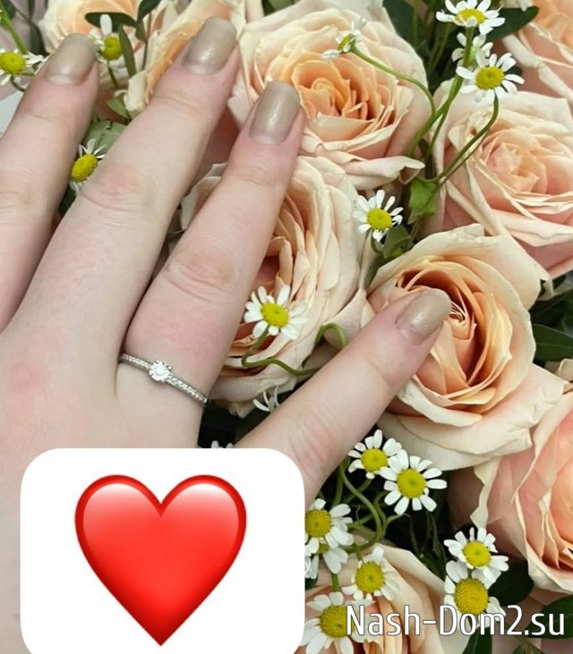 ����� ��������: ���� ���������� ������� ���