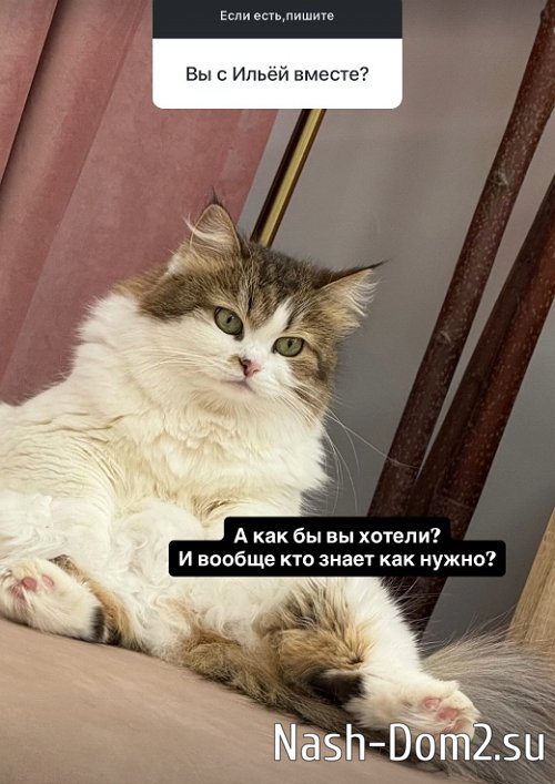 ����� ������������: �� � ��������, � � ������