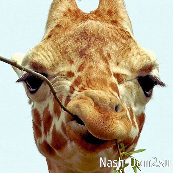 ������ � ��������� ��������� �������� (7.03.2026)