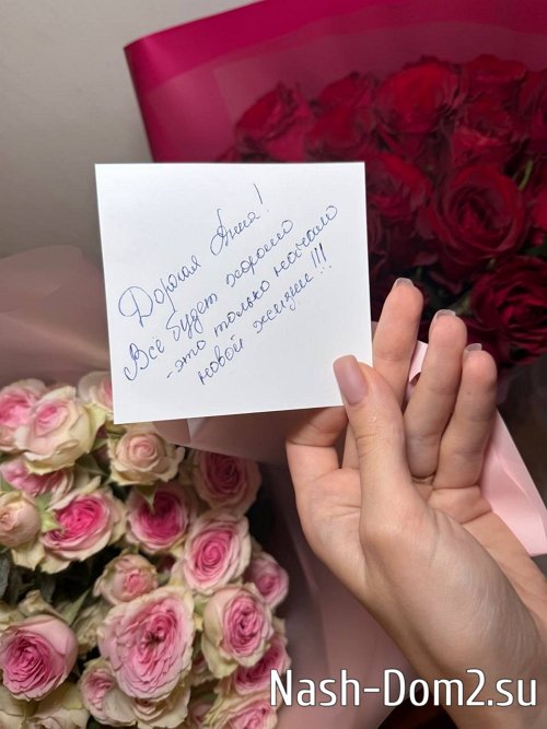 � ���� ����������� �������� ������ ���������