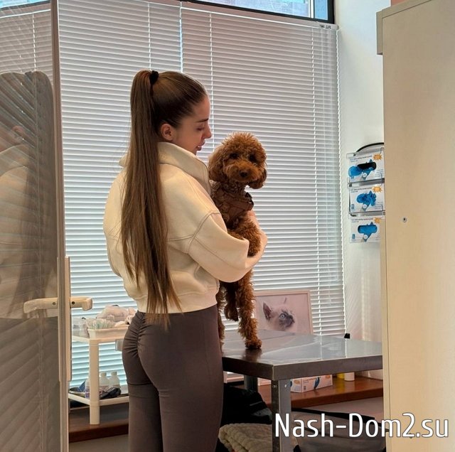 ��������� ���������� ���������� �� ����������� ������