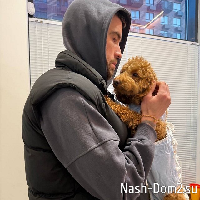 ���� ����������: ������ ��������������, ������ ����� ��������