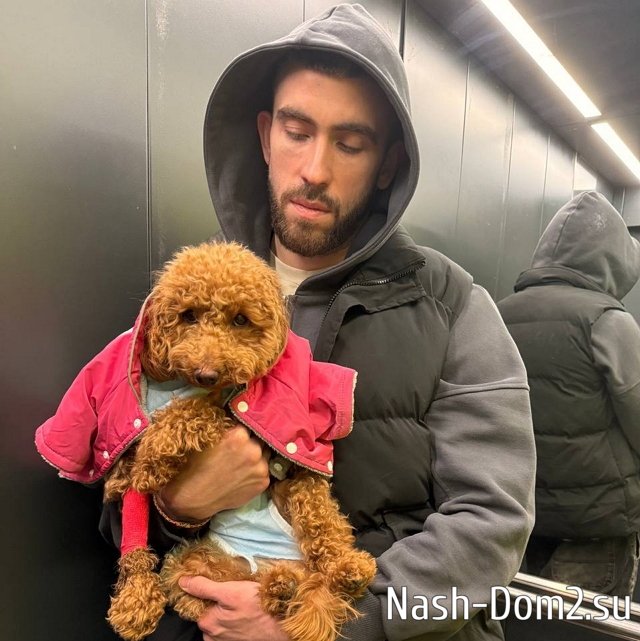 ���� ����������: ������ ��������������, ������ ����� ��������