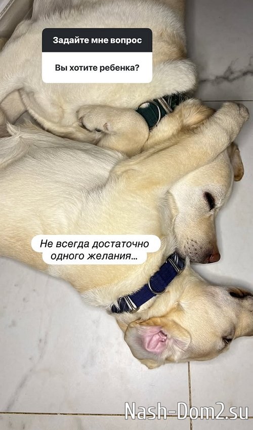 ���������� ������� ������� ������� ��������� � �����