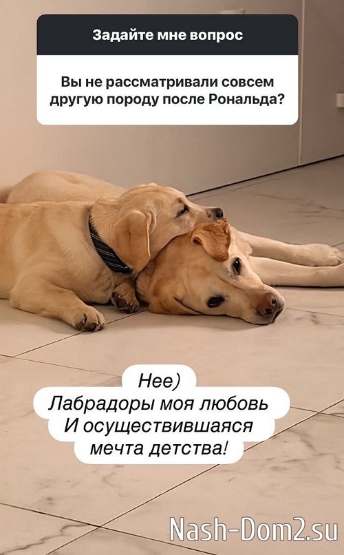 ���������� ������� ������� ������� ��������� � �����