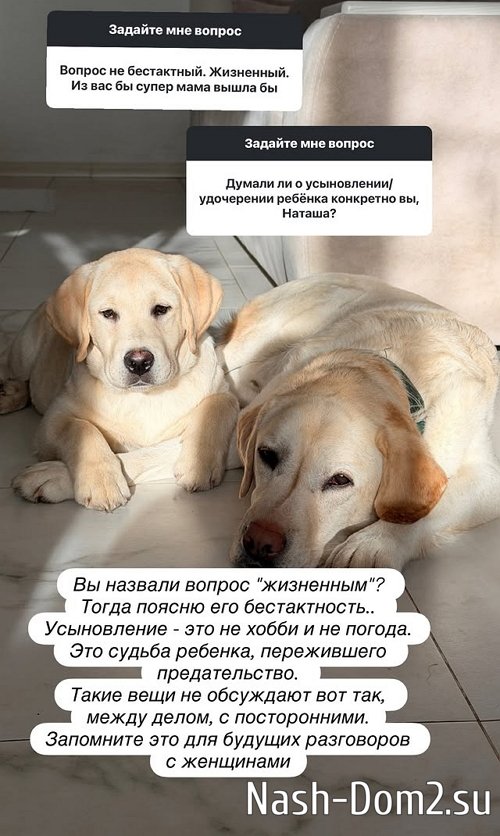 ���������� ������� ������� ������� ��������� � �����