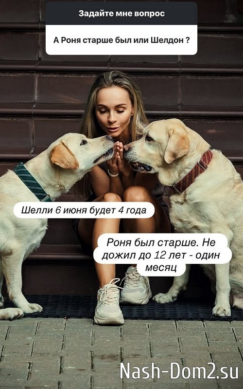 ���������� ������� ������� ������� ��������� � �����