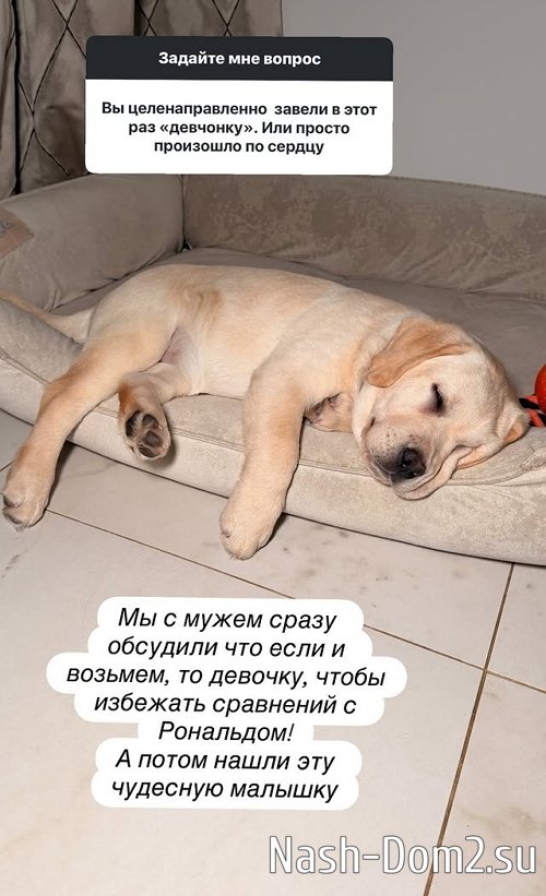 ���������� ������� ������� ������� ��������� � �����