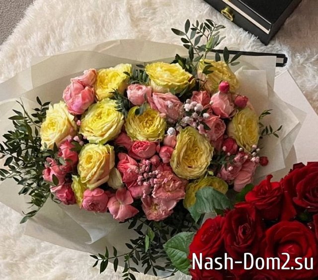 ������ �������: � ���� �� ����� ��������, ���������