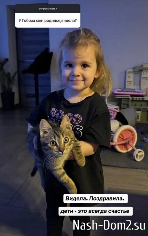 ������ ���������: ������, ����������