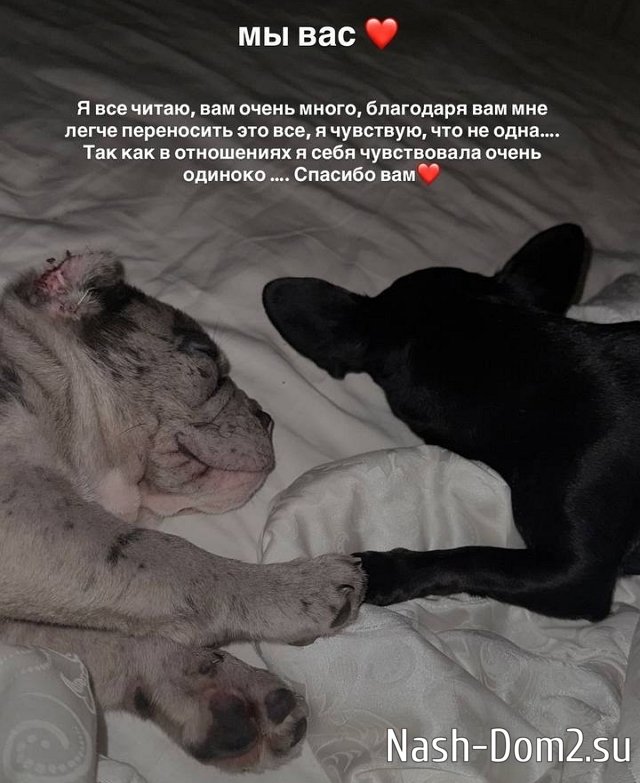 ��������� ��������: ����� ����������� � ����� ��������