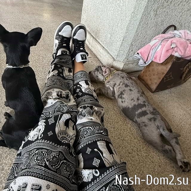 ��������� ��������: ����� ����������� � ����� ��������