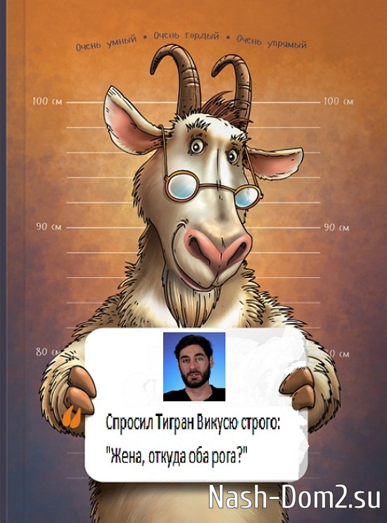 ������ � ��������� ��������� �������� (8.04.2026)