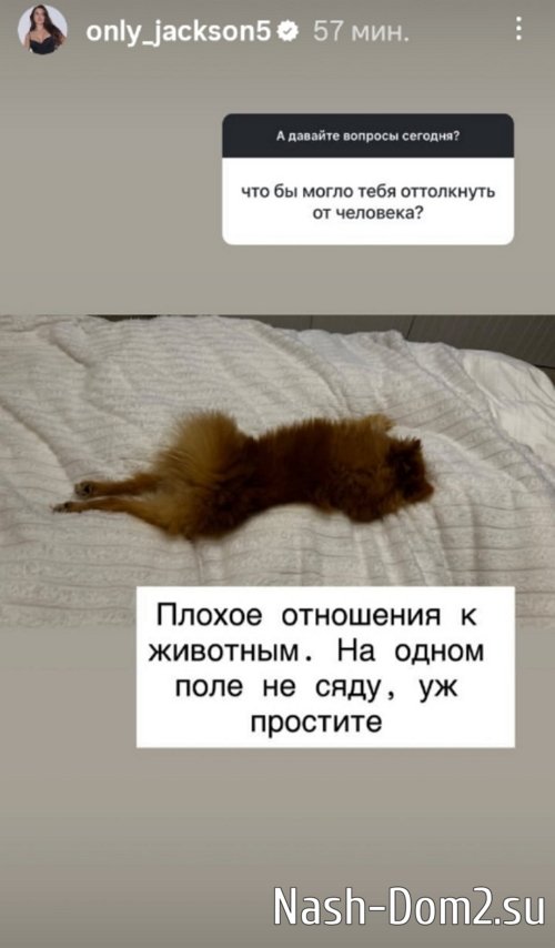 ������� ��������: � ������� �������� ���� ����������