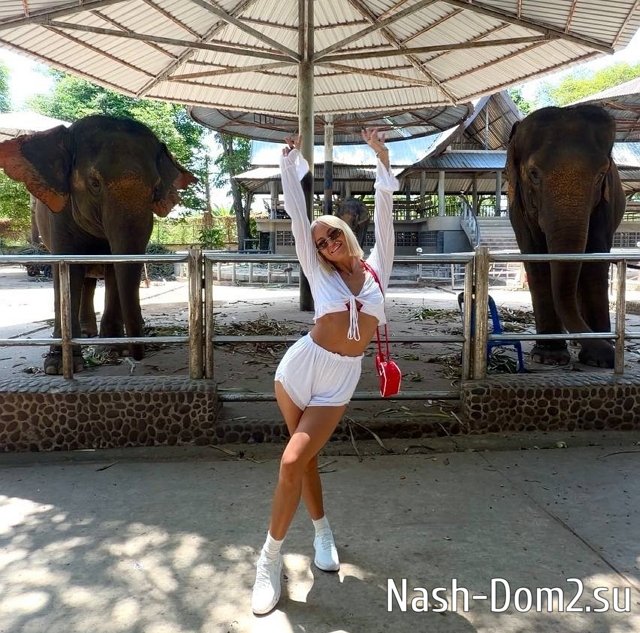 ����� �������� ������������ � �������� �������� ��������