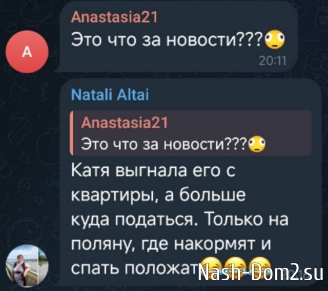 Новости проекта на 15.04.2026 от Кота Баюна Новости проекта на 15.04.2026 от Кота Баюна