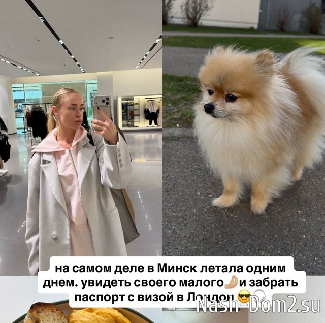 �������� �������� �� ��������� ������������ �� ���-2