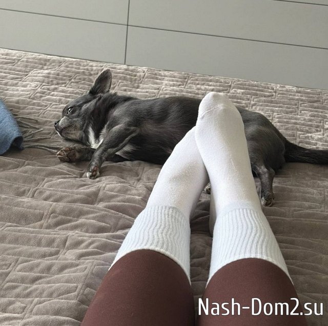 ������ ������� ������ �� ��������� �������