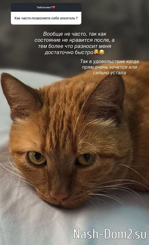 ������� ������: ��� ��� ���������