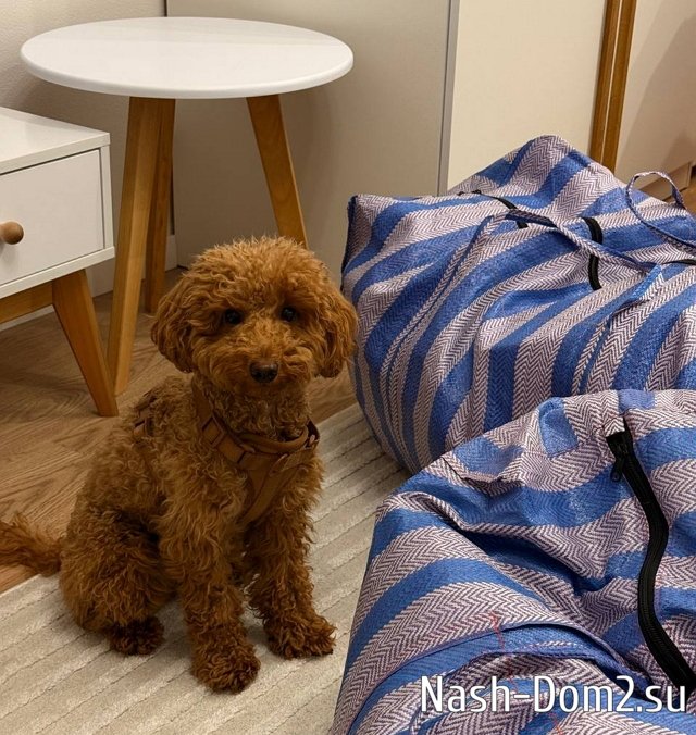 ���� ����������: ������ ��� �� ����� ������������