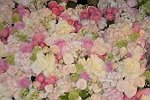 ����� ������: ����!