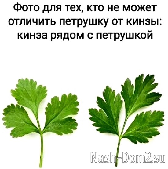 ������ � ��������� ��������� �������� (15.05.2026)