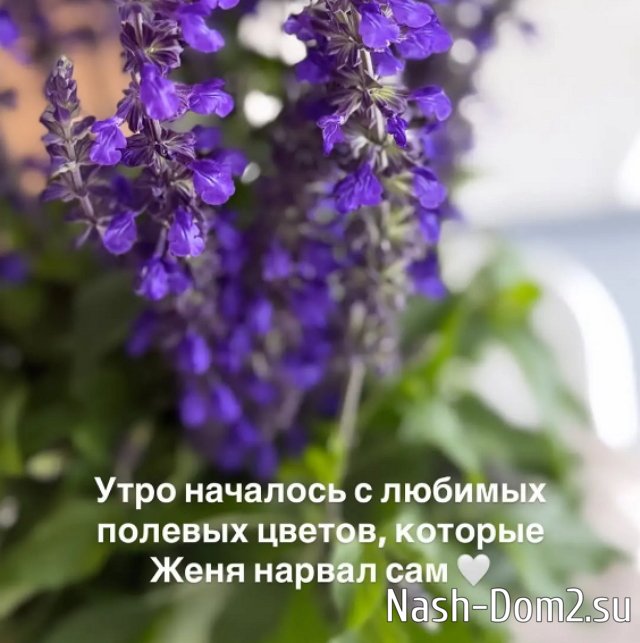 ����� �������� ������� ������ ������ ��������� � �����