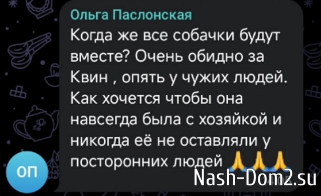 ����� ������������: ����� �����!