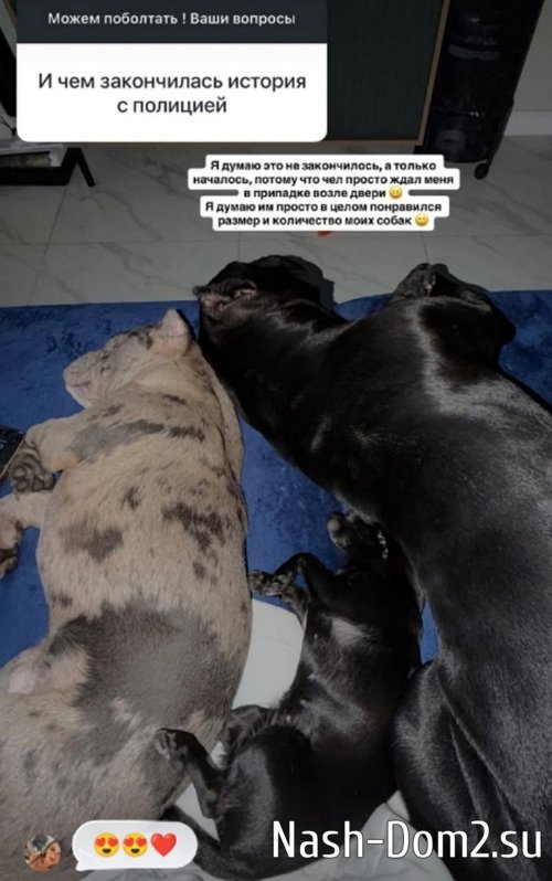 ��������� ��������: � ����� ��� �� �����������