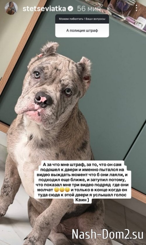 ��������� ��������: � ����� ��� �� �����������