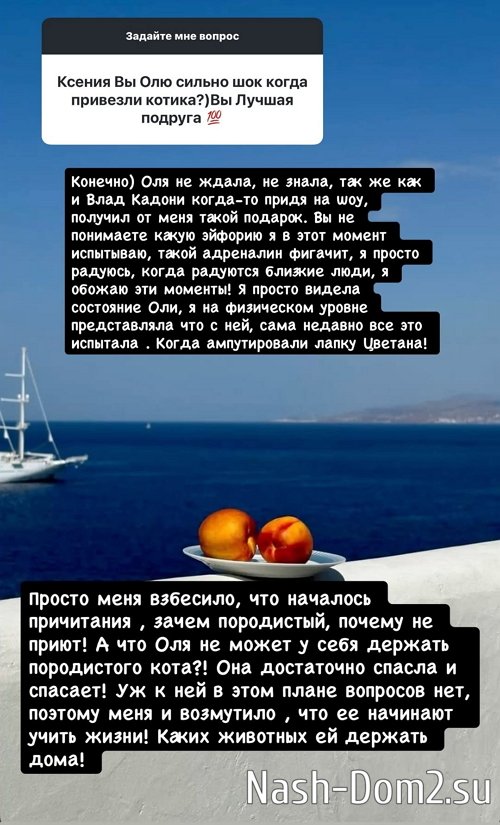 ������ ��������: � ���� �� ����� ��