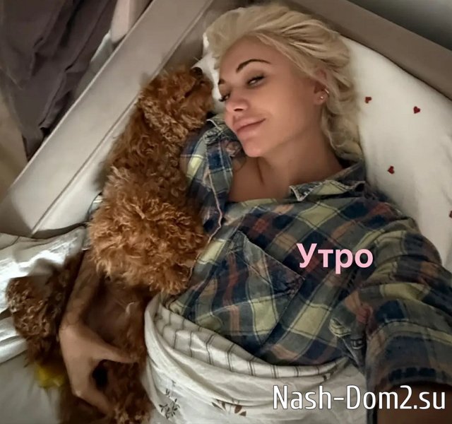 ����� ������������ �������� � ������ � ���� �����������