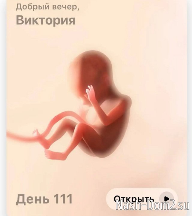 Виктория Салибекова: Хочу на УЗИ! Виктория Салибекова: Хочу на УЗИ!