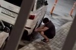 ���� �����������: �� ���� ������ � ���