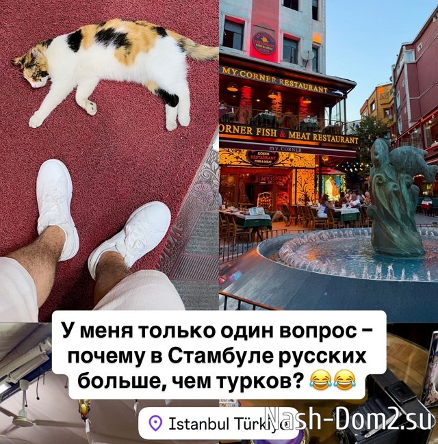 ����� �������� ���������� � �������� � ��������� �������