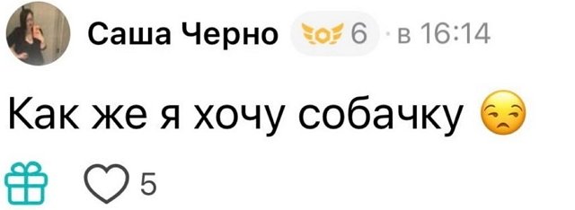 ���������� �����: �������, � ����� ��-�� �������