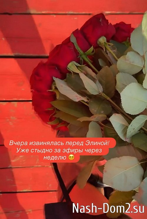 Настя Ромашова поспешила извиниться перед Элиной Рахимовой Настя Ромашова поспешила извиниться перед Элиной Рахимовой