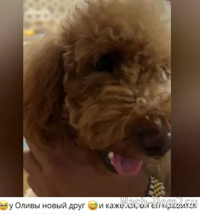 � ���� ����������� � ������ �������� ����� ����