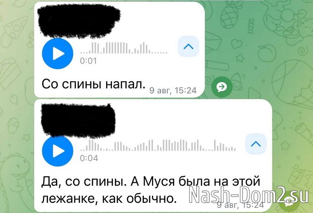 Артём Герасимов: Женёк, ещё есть вопросы, как и что было? Артём Герасимов: Женёк, ещё есть вопросы, как и что было?